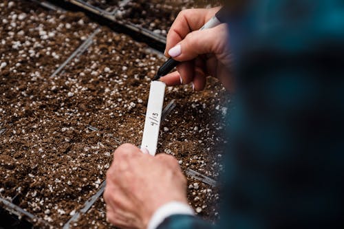 Free Unrecognizable gardener writing note near planting seeds Stock Photo