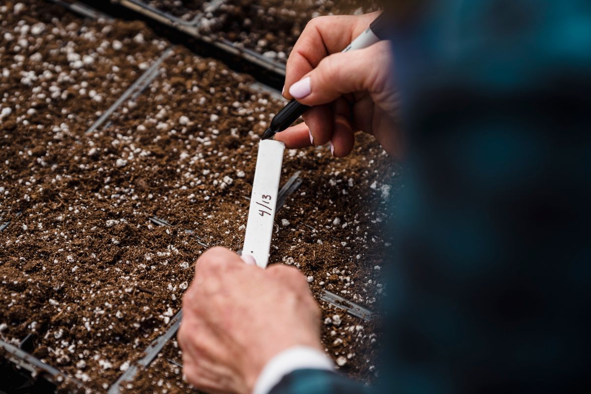 Baby shower invitation ideas with hands labelling newly sown soil for planting a seed paper invite