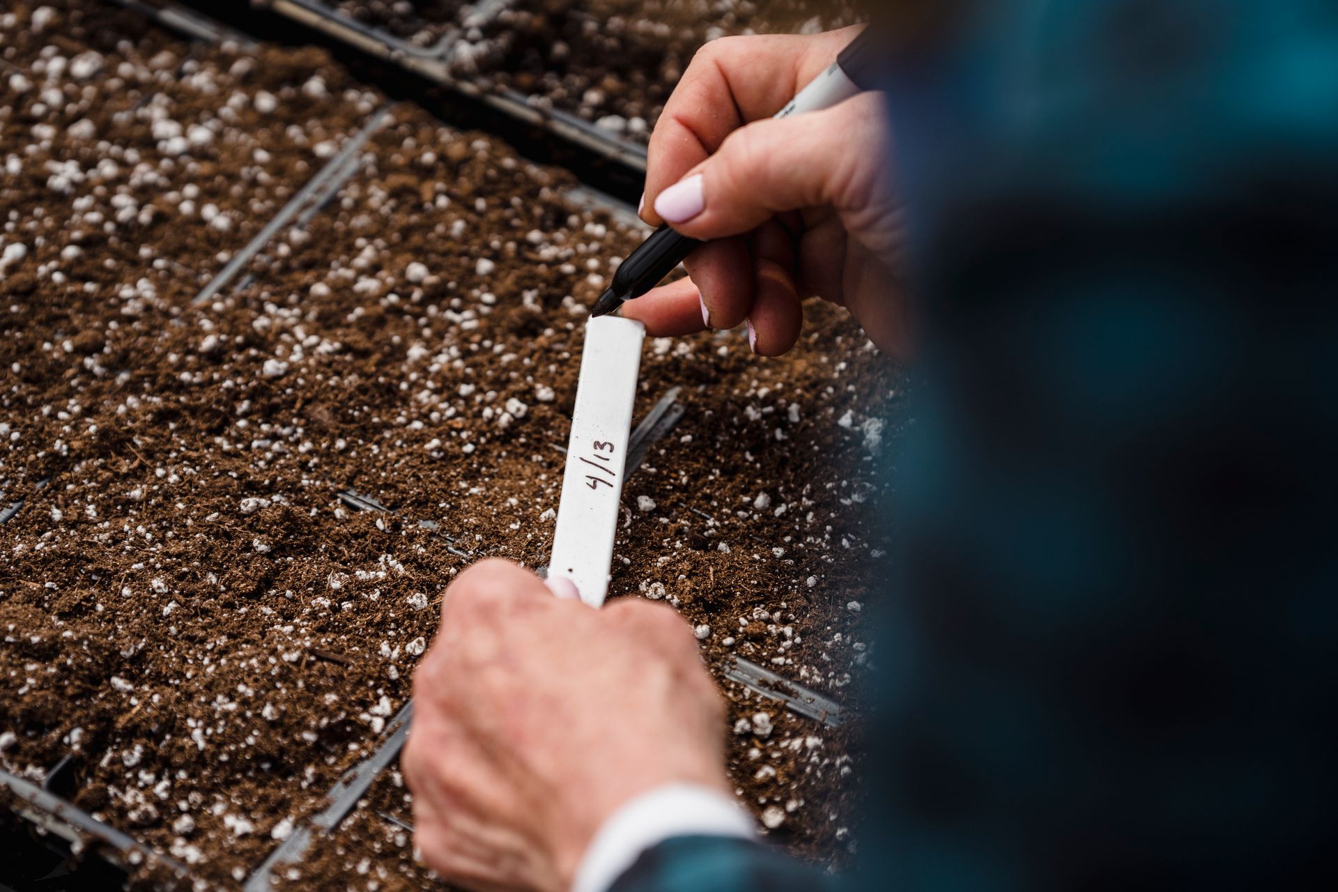 Unrecognizable gardener writing note near planting seeds
