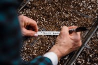 Anonymous farmer taking notes on soil with seed