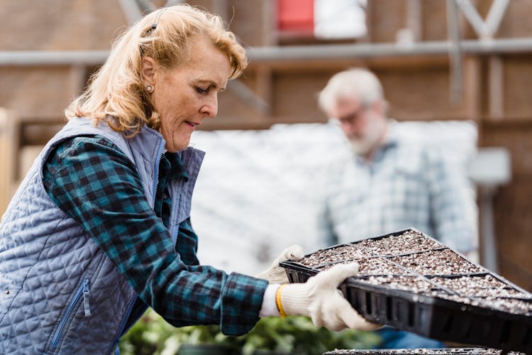 Mature Woman With Container Of Planted Seeds