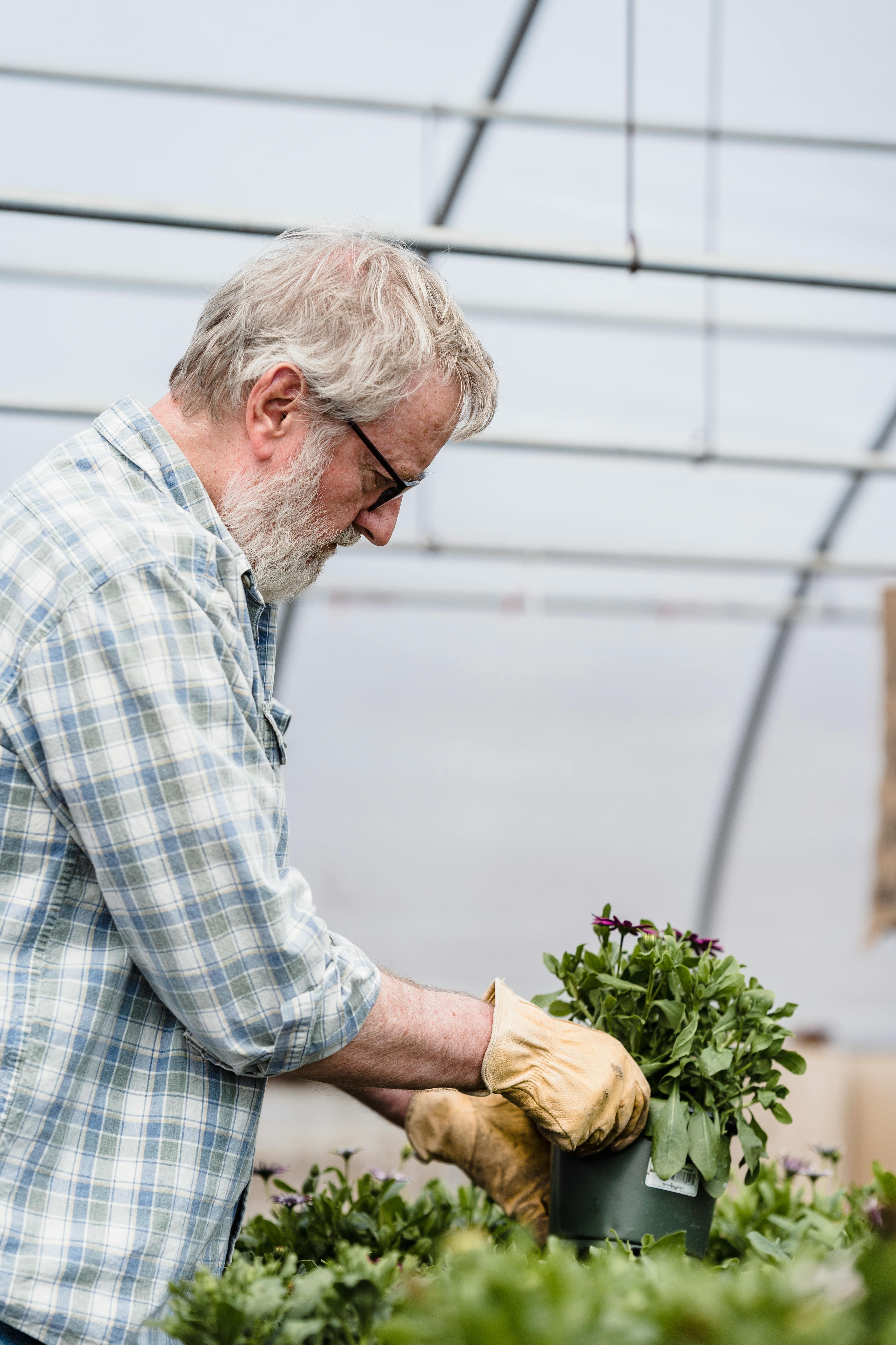 senior farmer with potted plant