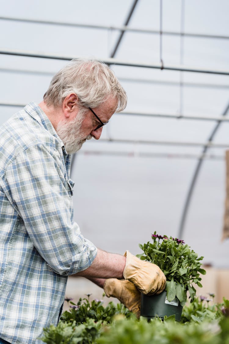 Senior Farmer With Potted Plant