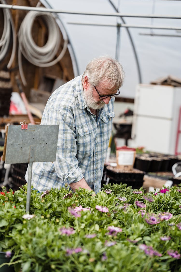 Senior Farmer Checking Potted Plants