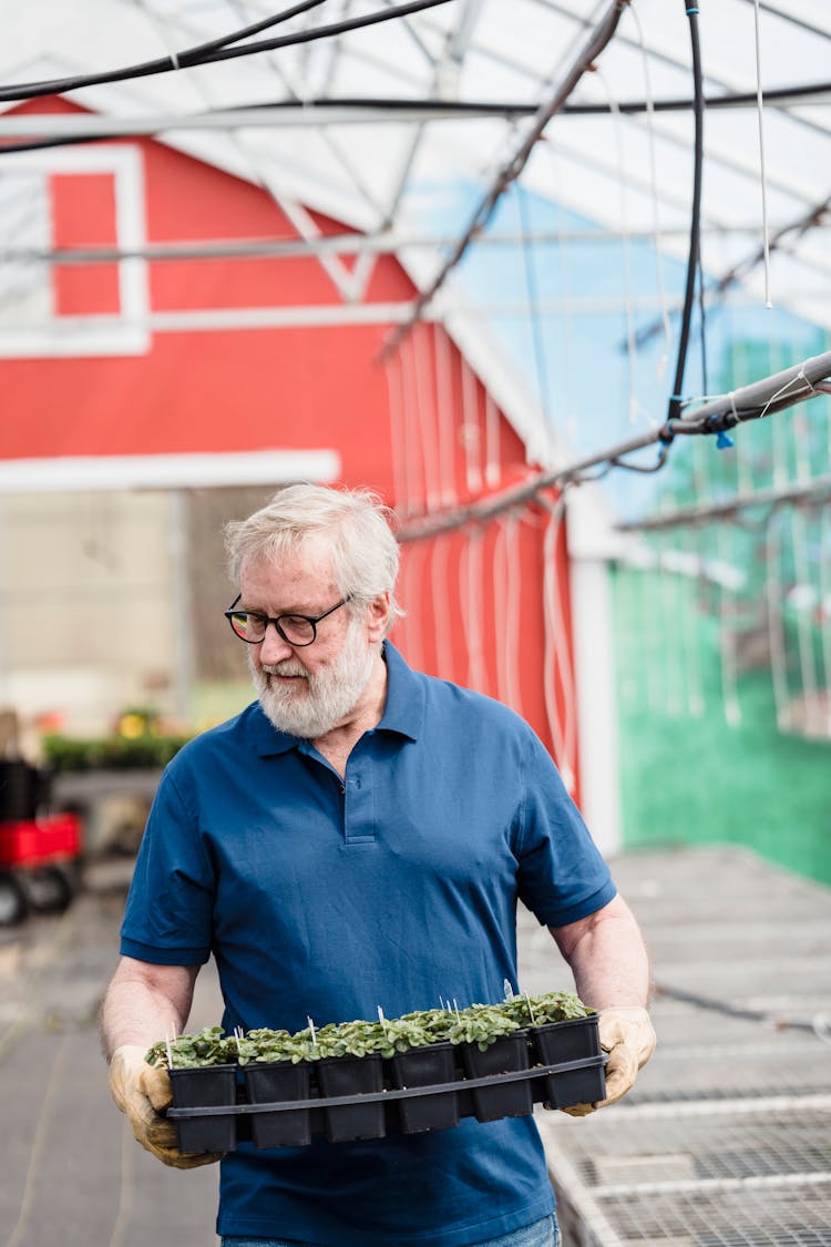 A Man Holding A Seedling Tray