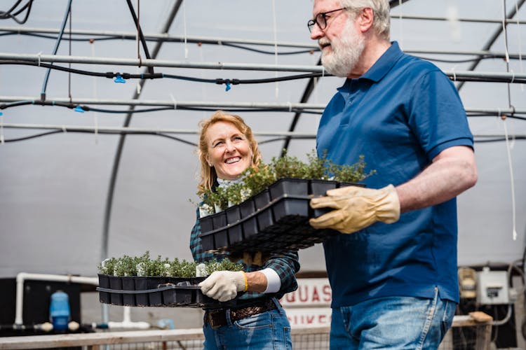 Man And Woman Carrying Potted Plants