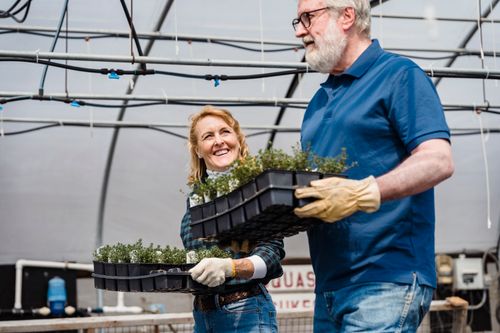Free Positive mature bearded male and female gardener carrying potted green plant in glasshouse in daytime Stock Photo