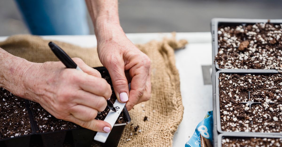 Blomsterskilte til kreative haver og hobbyprojekter: Sådan bruger du produkterne fra fxhobby.dk mest effektivt