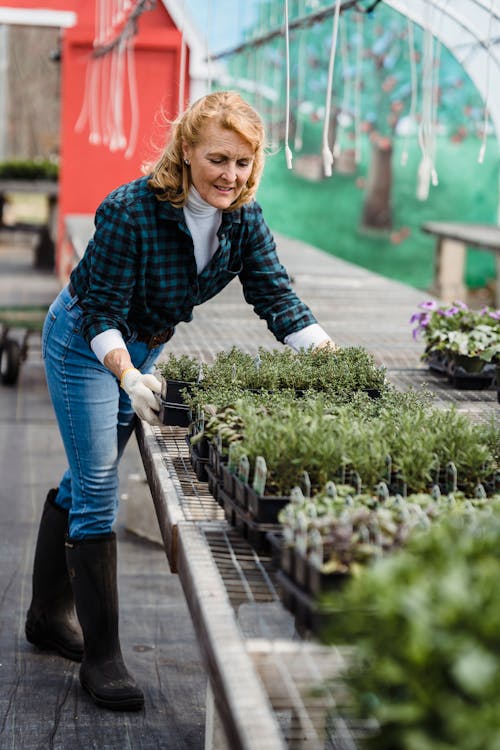 Gratis stockfoto met agronomie, arbeider, binnen