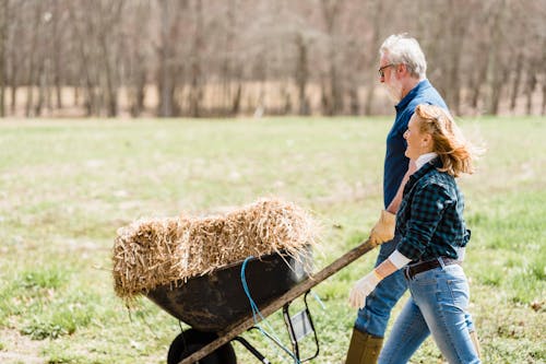 Side view of cheerful female and male farmers wearing casual workwear and gloves walking together in countryside while rolling metal cart full of dry hay