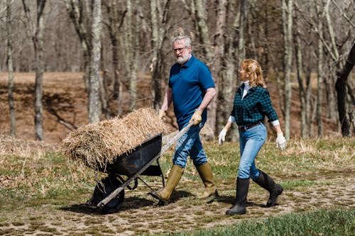 Full body of concentrated mature man and woman carrying cart with dry hay while walking together along rural path in countryside on sunny day