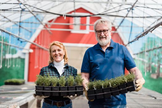 Happy gardeners with plants in glasshouse