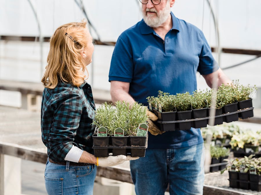 How can I grow myself professionally?