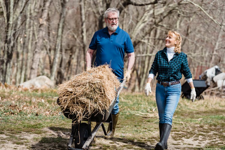 Couple Farmers With Hay In Wheelbarrow