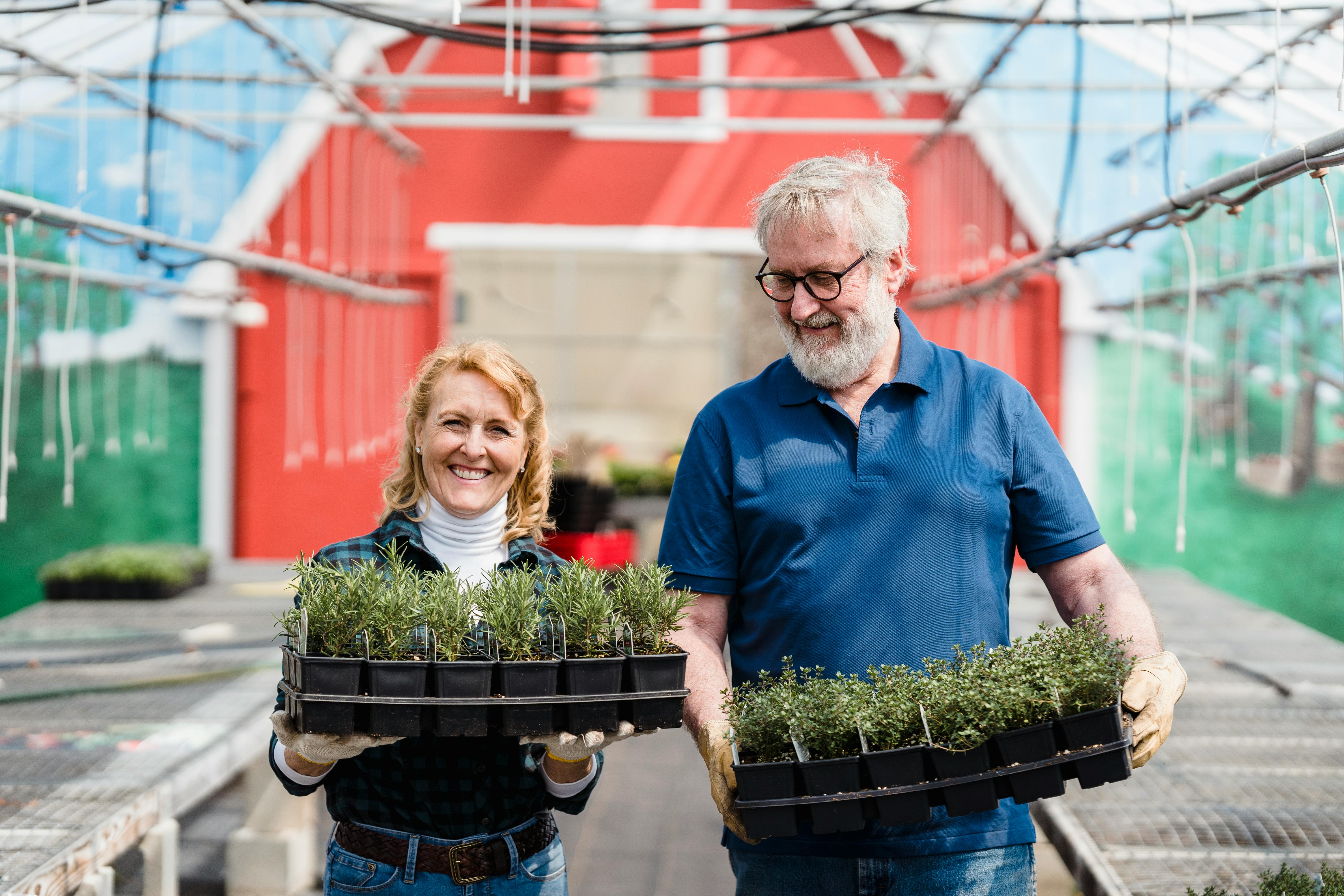 How gardening is helping those with dementia — Photo by Greta Hoffman on Pexels