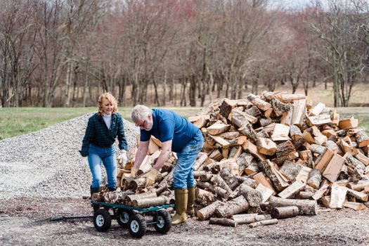 Man in Blue T-shirt and Blue Denim Jeans Sitting on Brown Log