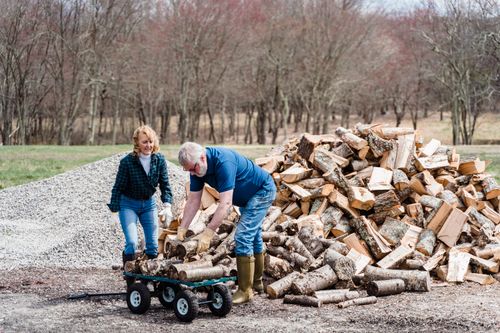 Free Mature couple working together to load chopped firewood onto a cart in a rural outdoor setting. Stock Photo