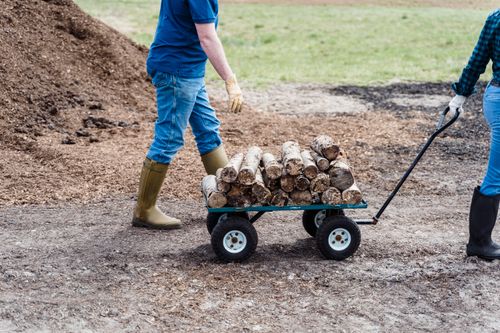 Free Two people pulling a trolley loaded with firewood outdoors, wearing gloves and boots. Stock Photo