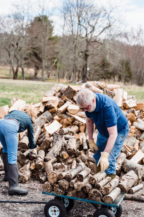 Free A senior couple organizing chopped firewood with a trolley outdoors during day. Stock Photo