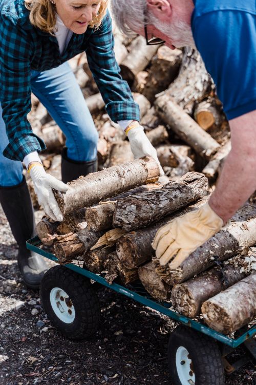 Free Elderly couple collaboratively loading chopped wood onto a trolley outdoors. Stock Photo