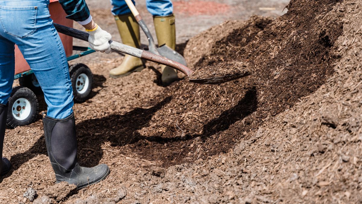 Comment préparer son jardin pour lhiver à Angers - illustration
