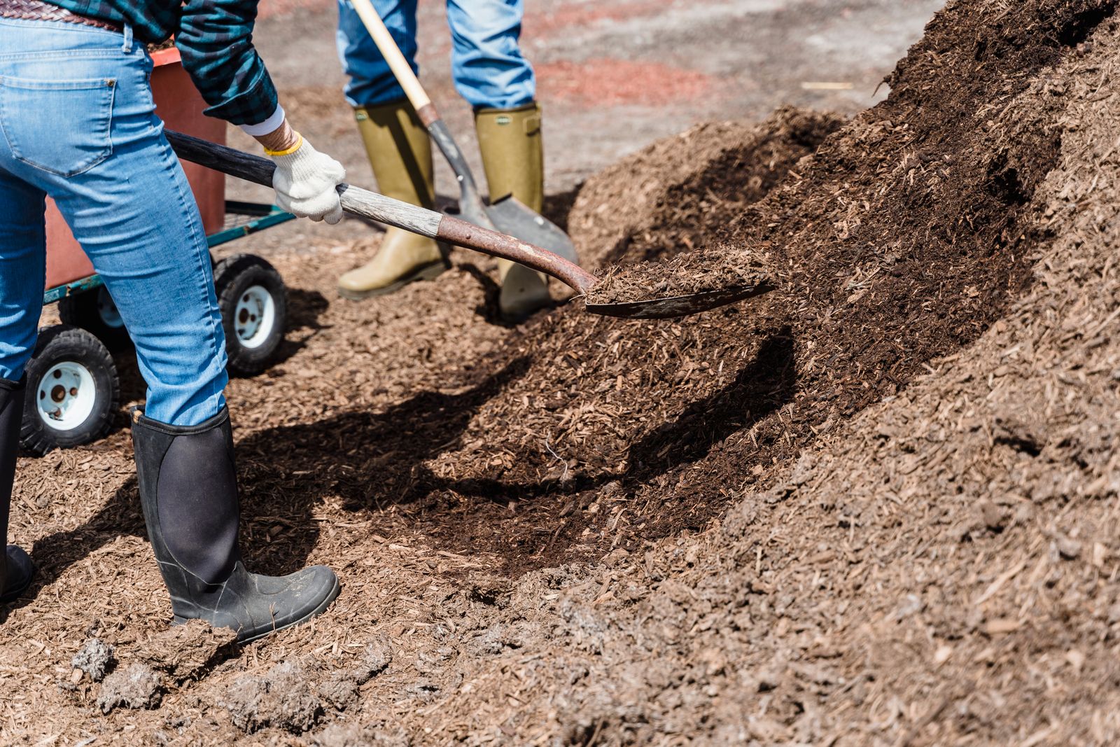 Landscaping crew shoveling fresh mulch from a pile