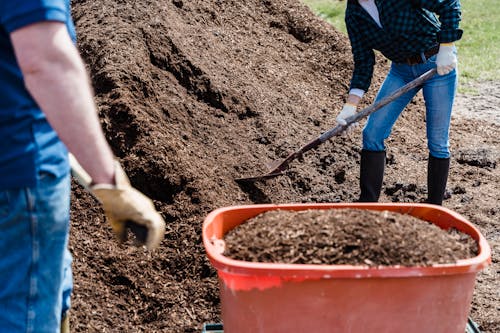 A Person Holding a Shovel while Shoveling the Soil