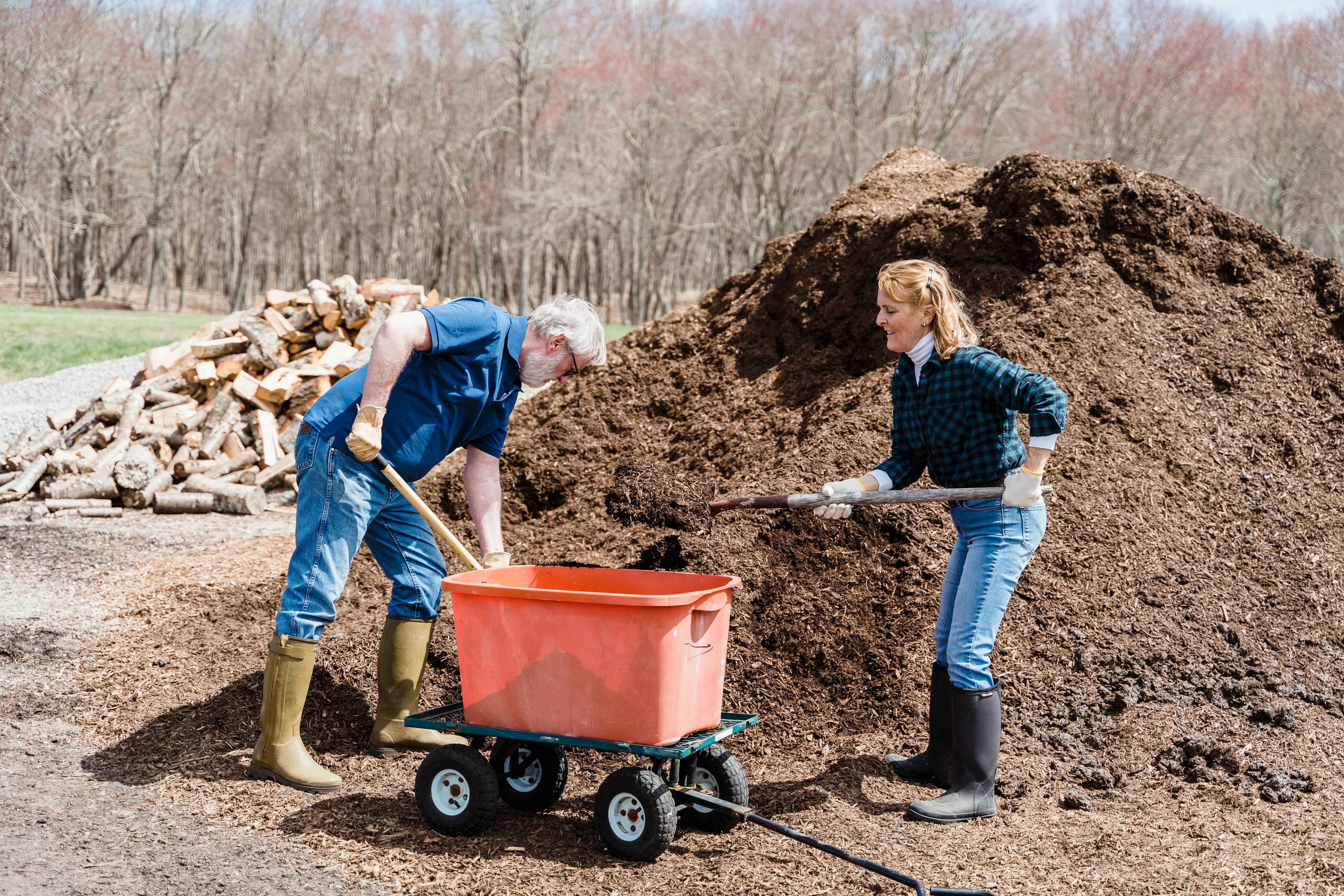 Elderly couple shoveling soil into a trolley during spring gardening outdoors.