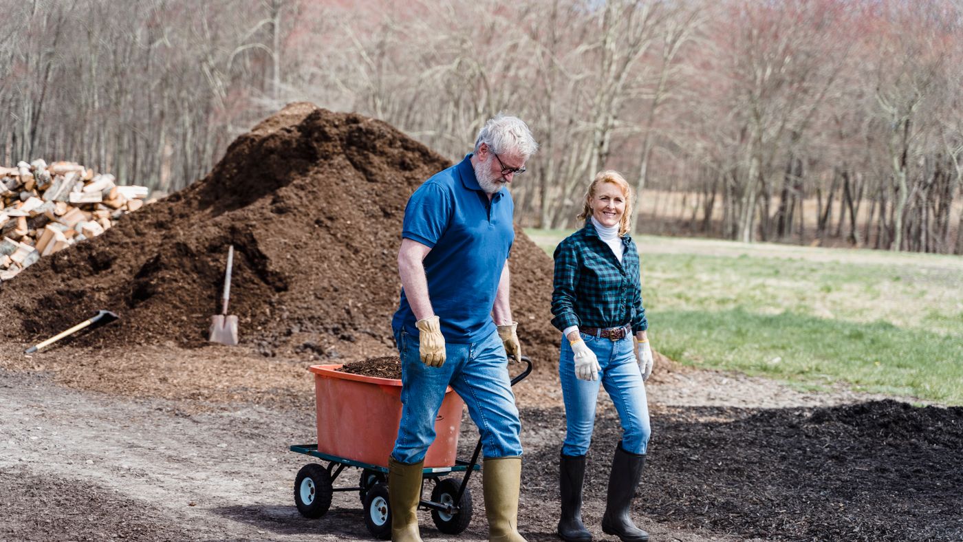 Fall Garden Cleanup: What to Pull, Compost, and Leave for Spring