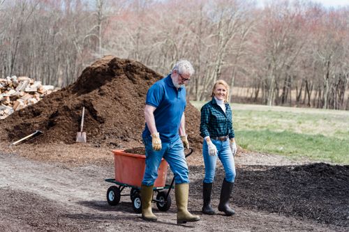 Free An elderly couple working together in a rural garden setting. Stock Photo