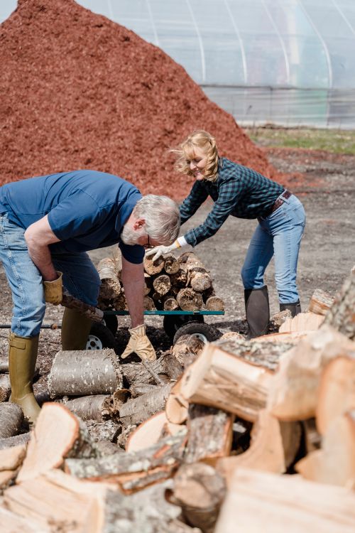 Free Elderly couple working together, stacking firewood outdoors on a sunny day. Stock Photo
