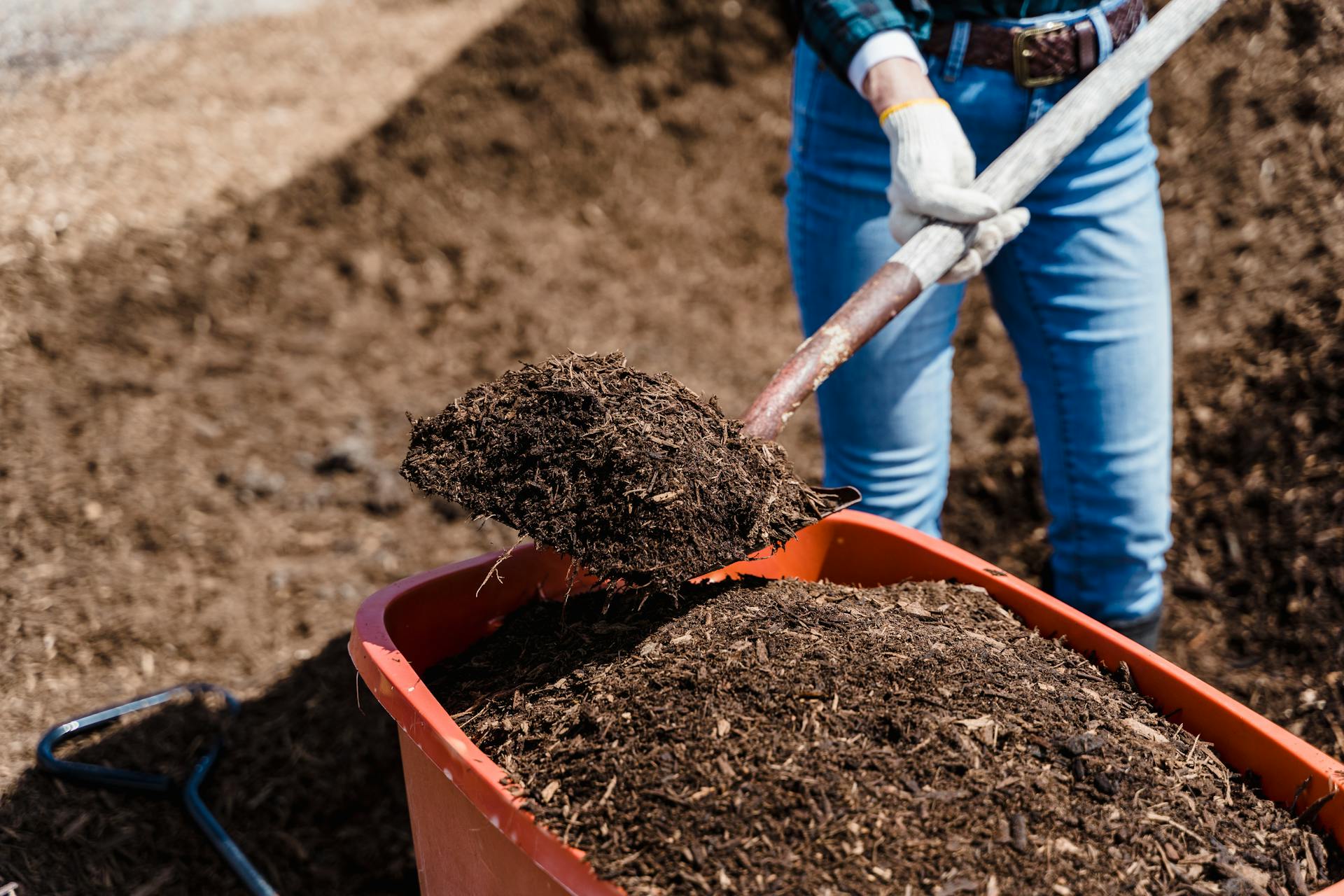 Brown Soil in Orange Plastic Bucket