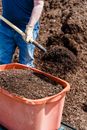 Brown Soil in Orange Plastic Bucket