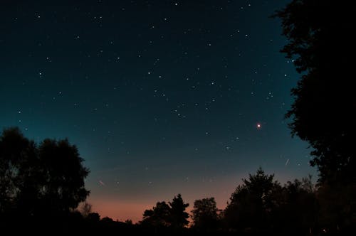 Imagine de stoc gratuită din arbori, astrofotografie, celebrități