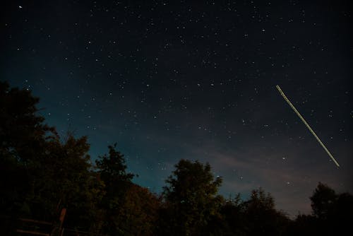 Green Trees Under Starry Sky during Night Time