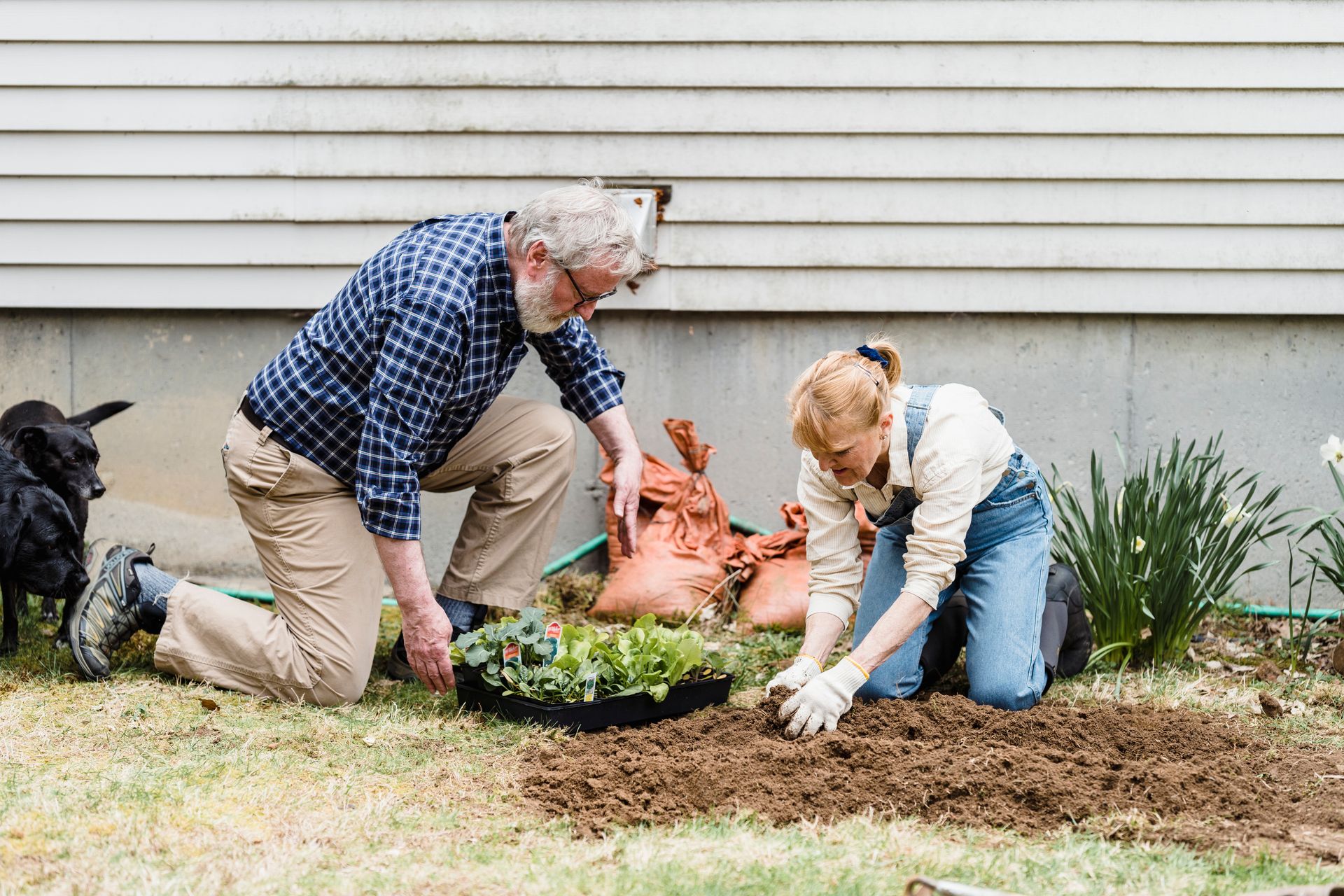 A Couple Doing Gardening