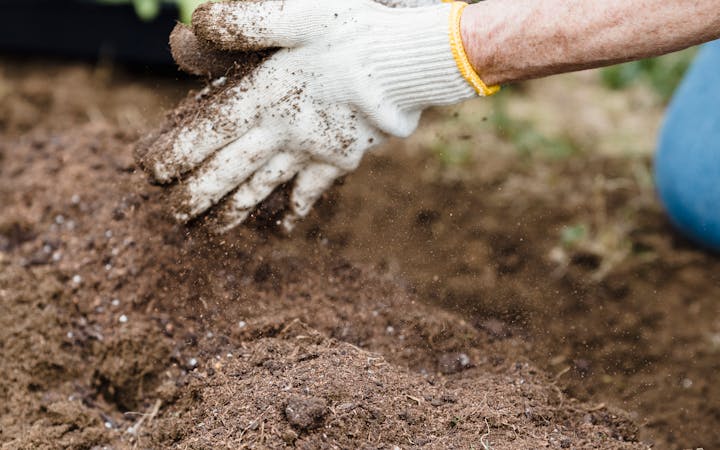 Close-up of a gardener's hands in gloves preparing soil for planting outdoors.