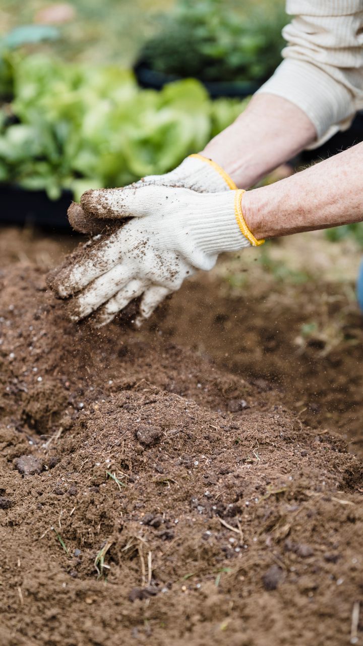 Amend Garden Soil
