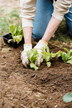 Person Planting on the Garden with the Quote "Some people are born on third base and go through life thinking they hit a triple." written on it and have average color value #8A8069