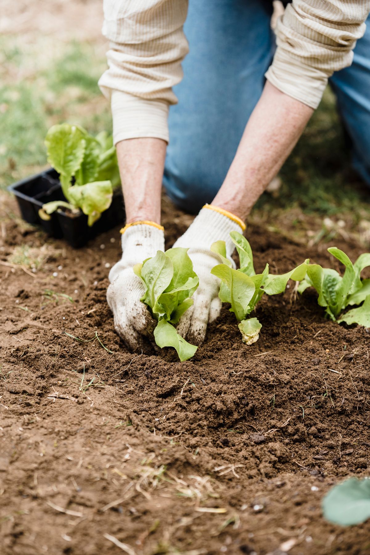 Gardening