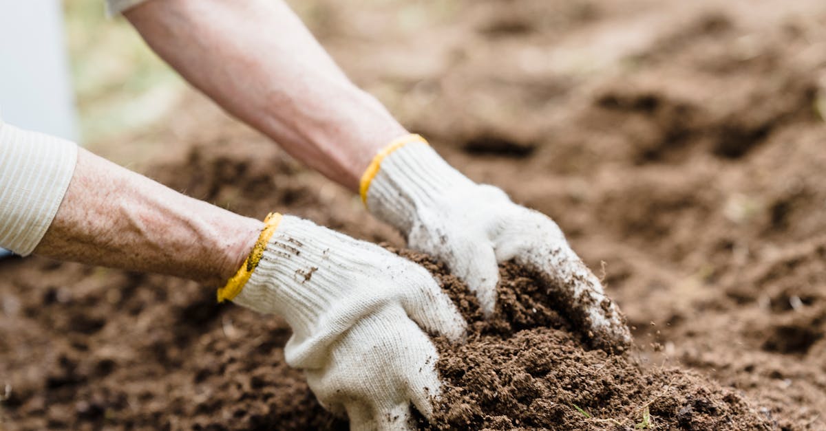How much is a yard of dirt cost near me