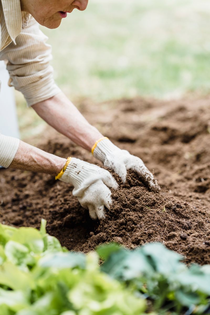 Close-up of an elderly person enjoying gardening in spring