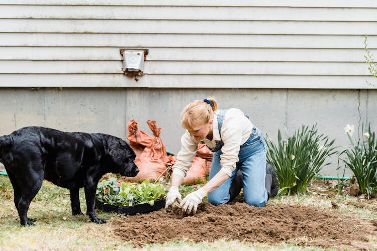 Woman Working In Garden