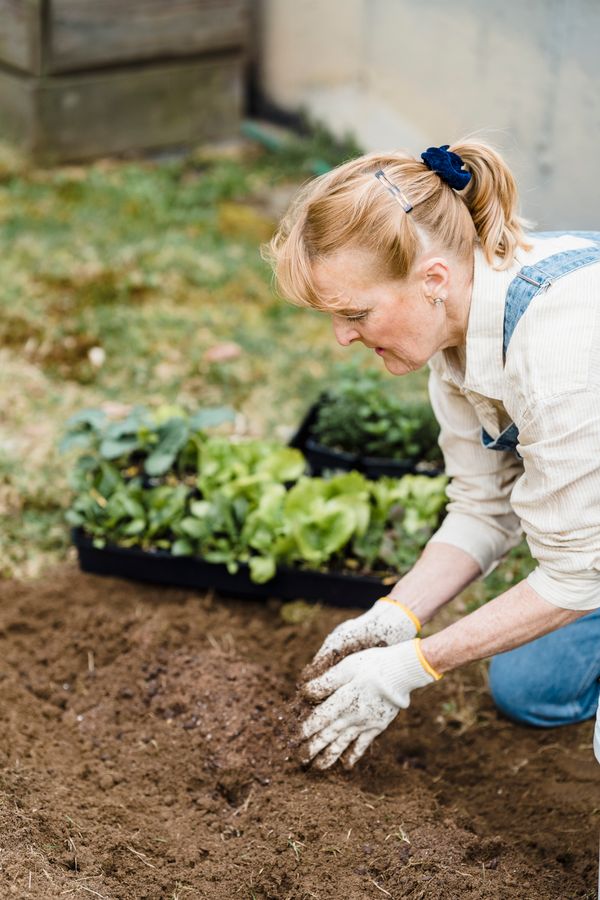 Landscaping Consultation 2