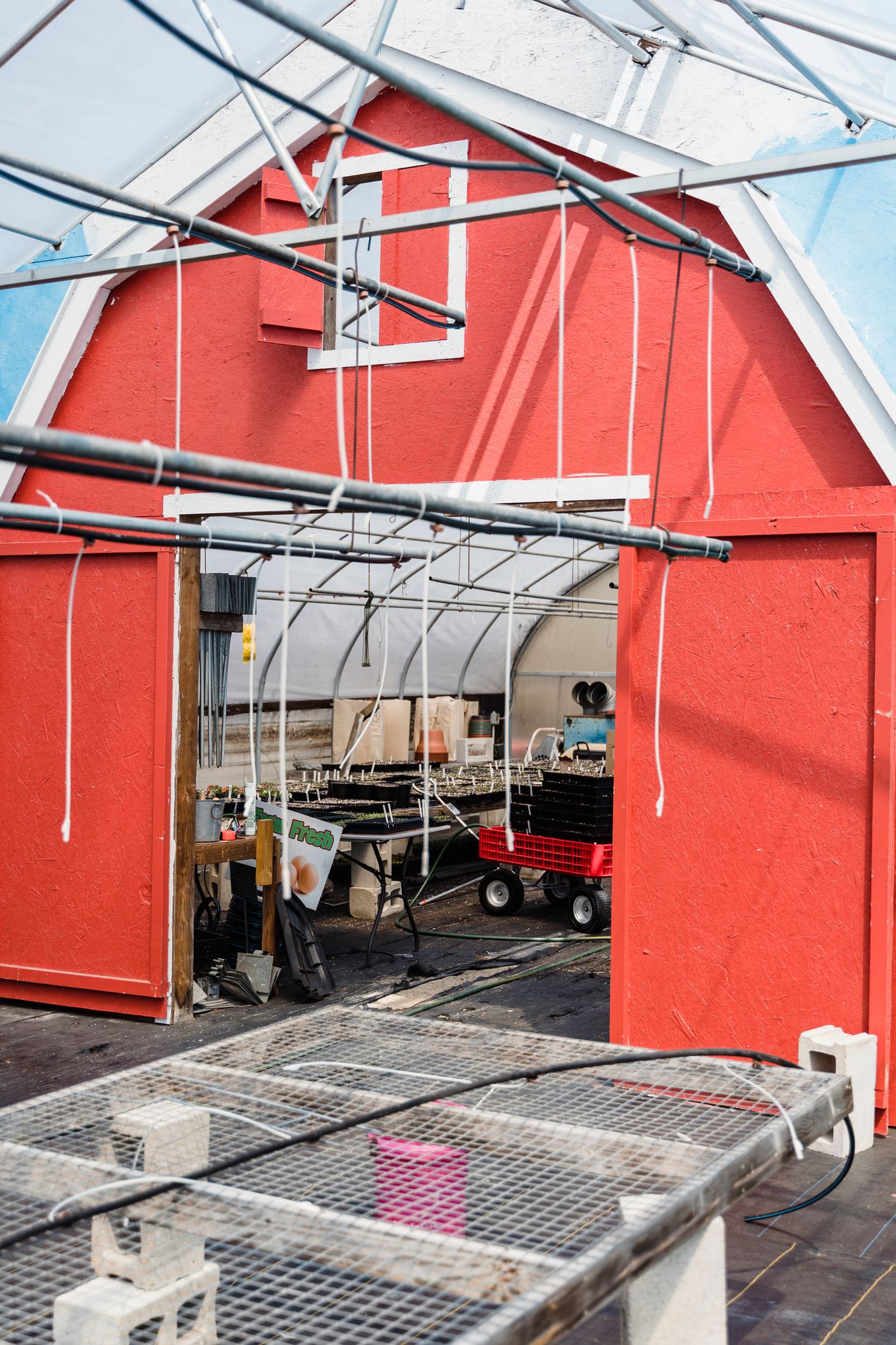 Serre équipée avec plants et outillage
