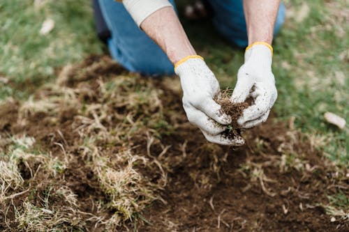 Close-Up Shot of a Person Gardening