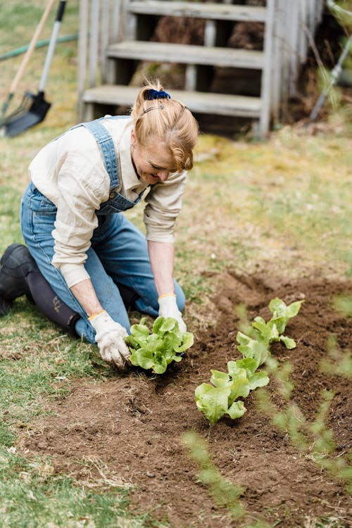 An Elderly Woman Planting in a Soil · Free Stock Photo