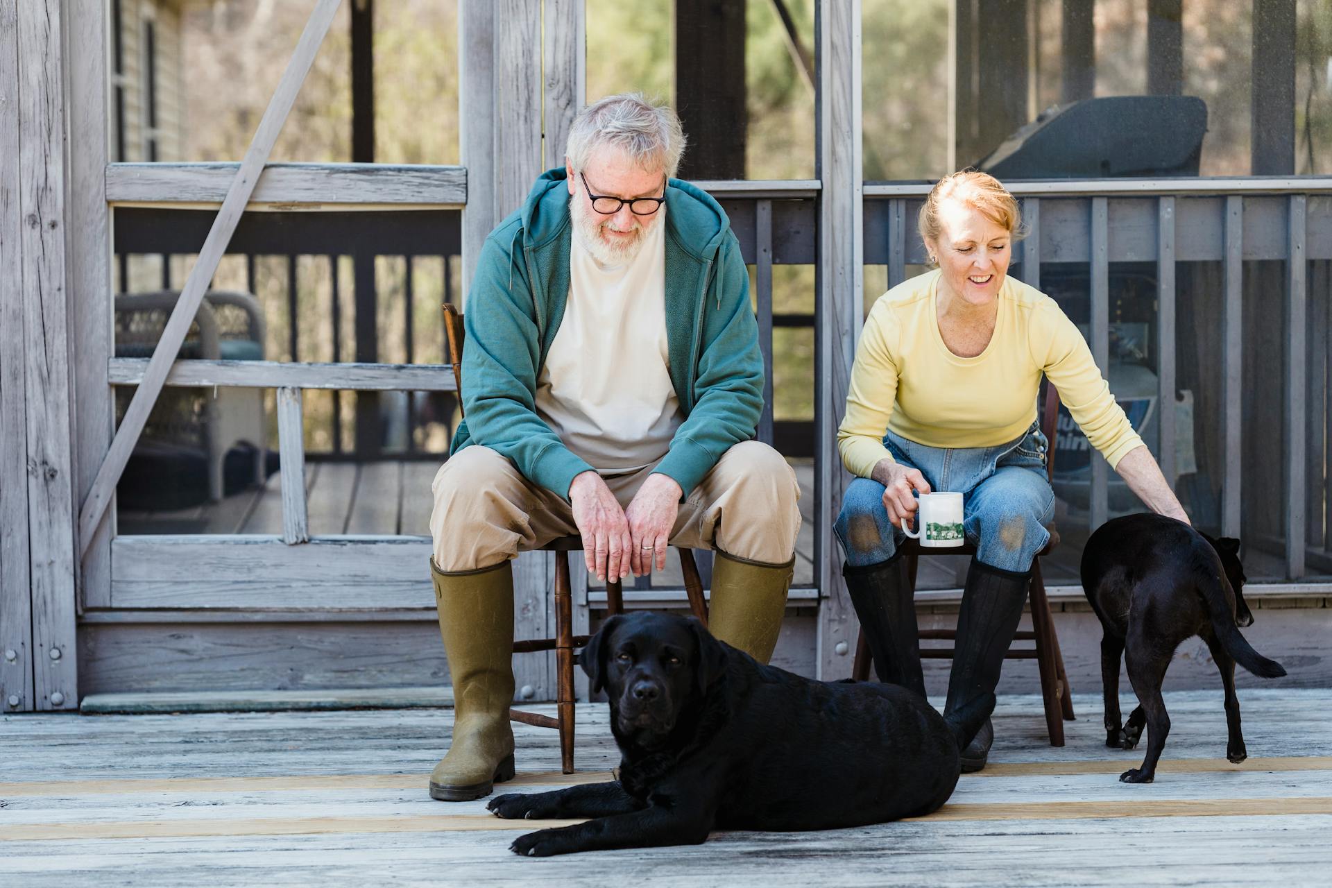 Oudere echtparen kijken naar hun honden