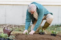 An Elderly Man Planting in a Soil