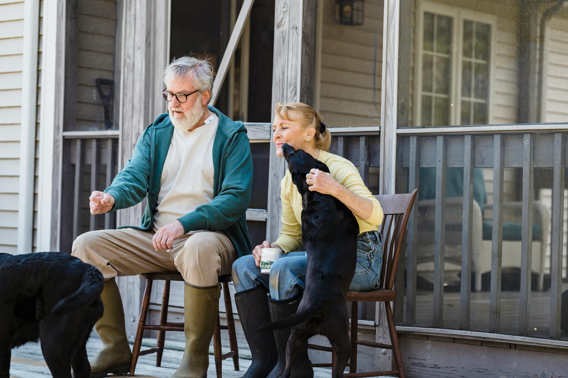 Elderly Couple Looking at Their Dogs